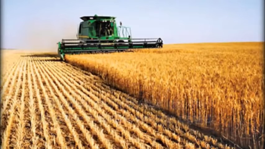 This field probably has less bio-diversity than the average desert