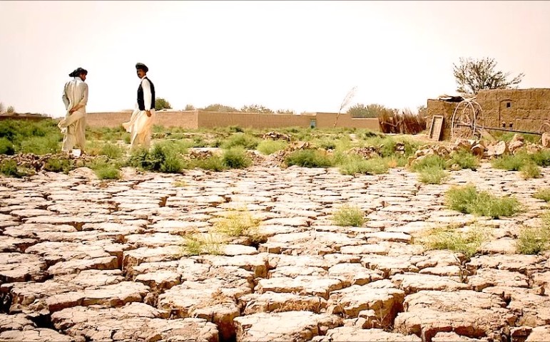 All the desert religions belong in the desert, with the desert peoples.