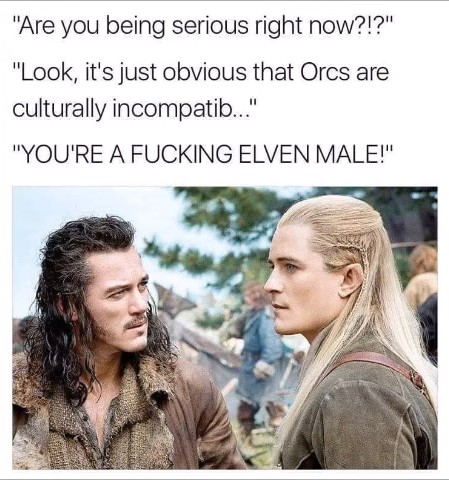 Are you being serious right now!?. Look, it's just obvious that Orcs are culturally incompatib... YOU ARE A FUCKING ELVEN MALE!