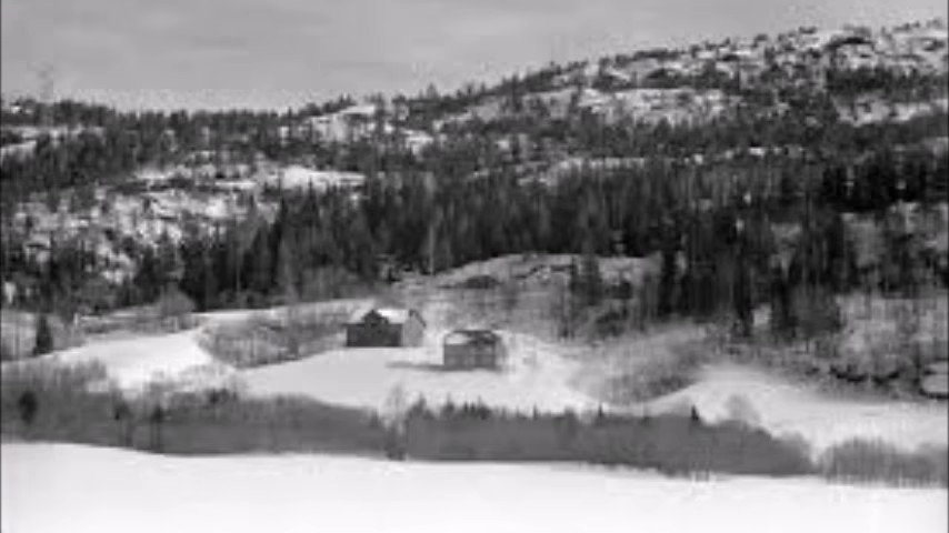 Ah. Finally some breathing space. No damn neighbours. Phew.